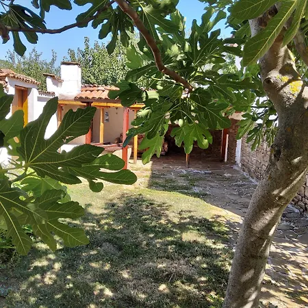 House Sleeps 6-garden-freeparking-bbq-patio-petsok Ognen