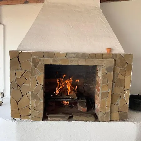 House Sleeps 6-garden-freeparking-bbq-patio-petsok Ognen