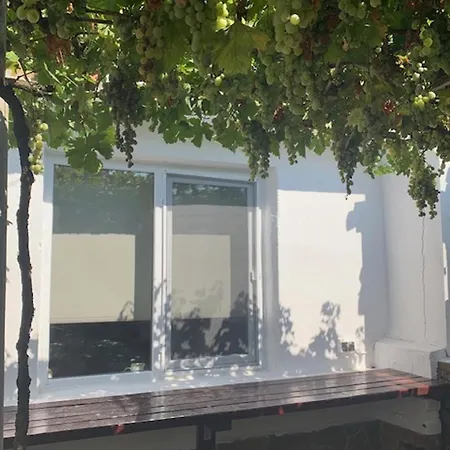 House Sleeps 6-garden-freeparking-bbq-patio-petsok 펜션 *